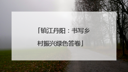 镇江丹阳：书写乡村振兴绿色答卷