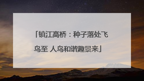 镇江高桥：种子落处飞鸟至 人鸟和谐趣景来