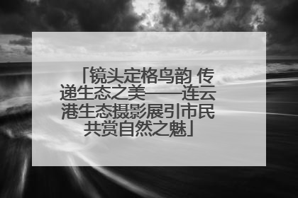 镜头定格鸟韵 传递生态之美——连云港生态摄影展引市民共赏自然之魅