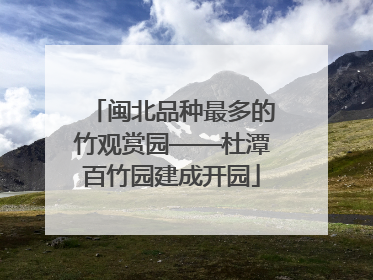 闽北品种最多的竹观赏园——杜潭百竹园建成开园