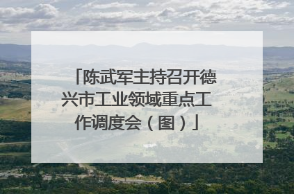 陈武军主持召开德兴市工业领域重点工作调度会（图）