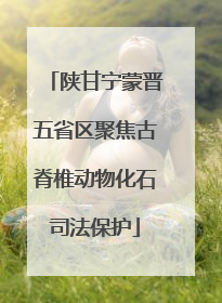 陕甘宁蒙晋五省区聚焦古脊椎动物化石司法保护