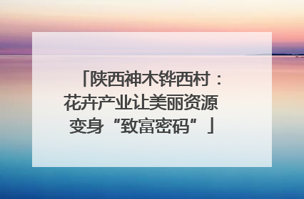 陕西神木铧西村：花卉产业让美丽资源变身“致富密码”