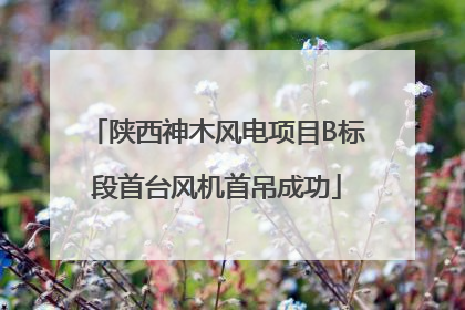 陕西神木风电项目B标段首台风机首吊成功