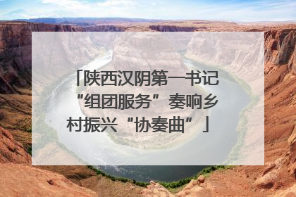 陕西汉阴第一书记“组团服务”奏响乡村振兴“协奏曲”