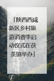 陕西西咸新区乡村旅游消费季启动仪式在茯茶镇举办