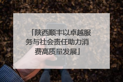 陕西顺丰以卓越服务与社会责任助力消费高质量发展