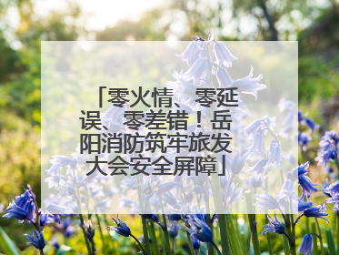 零火情、零延误、零差错！岳阳消防筑牢旅发大会安全屏障
