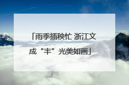 雨季插秧忙 浙江文成“丰”光美如画
