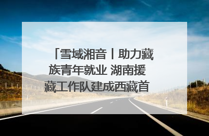 雪域湘音丨助力藏族青年就业 湖南援藏工作队建成西藏首个清洁能源装备园