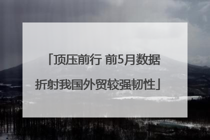 顶压前行 前5月数据折射我国外贸较强韧性
