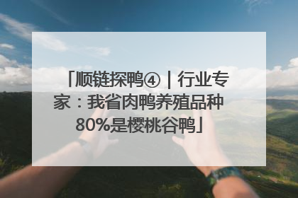 顺链探鸭④｜行业专家：我省肉鸭养殖品种80%是樱桃谷鸭