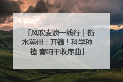 风吹麦浪一线行｜衡水冀州：开镰！科学种植 奏响丰收序曲