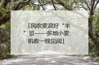 风吹麦浪好“丰”景——多地小麦机收一线见闻