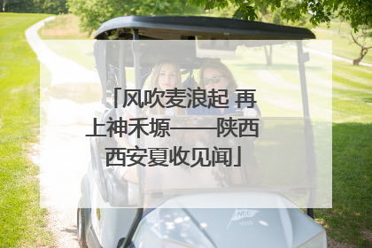风吹麦浪起 再上神禾塬——陕西西安夏收见闻