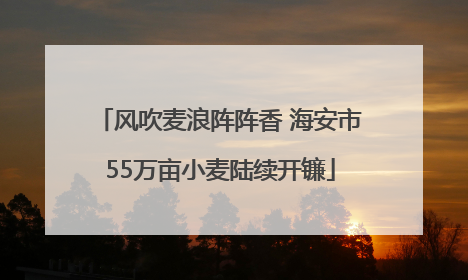 风吹麦浪阵阵香 海安市55万亩小麦陆续开镰