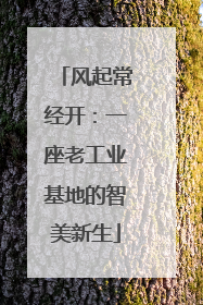 风起常经开：一座老工业基地的智美新生