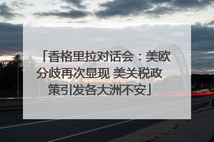 香格里拉对话会：美欧分歧再次显现 美关税政策引发各大洲不安