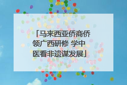 马来西亚侨商侨领广西研修 学中医看非遗谋发展
