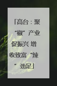高台：聚“椒”产业促振兴 增收致富“辣”劲足