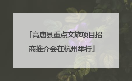 高唐县重点文旅项目招商推介会在杭州举行