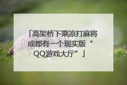 高架桥下乘凉打麻将 成都有一个现实版“QQ游戏大厅”