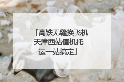 高铁无缝换飞机 天津西站值机托运一站搞定