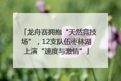龙舟赛拥抱“天然竞技场”，12支队伍枣林湖上演“速度与激情”