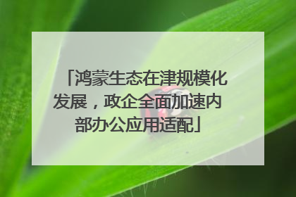 鸿蒙生态在津规模化发展，政企全面加速内部办公应用适配