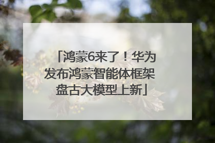 鸿蒙6来了！华为发布鸿蒙智能体框架 盘古大模型上新