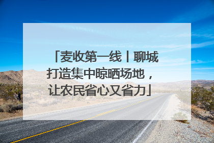 麦收第一线丨聊城打造集中晾晒场地，让农民省心又省力