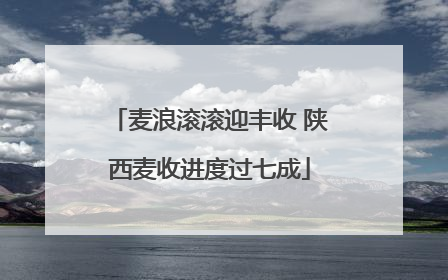 麦浪滚滚迎丰收 陕西麦收进度过七成