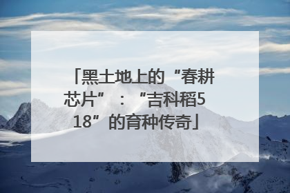 黑土地上的“春耕芯片”：“吉科稻518”的育种传奇
