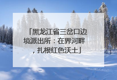 黑龙江省三岔口边境派出所：在界河畔，扎根红色沃土