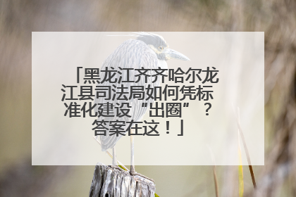 黑龙江齐齐哈尔龙江县司法局如何凭标准化建设“出圈”？答案在这！