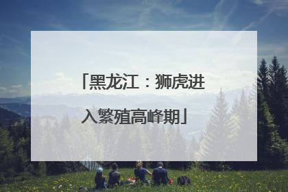 黑龙江：狮虎进入繁殖高峰期