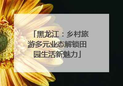 黑龙江：乡村旅游多元业态解锁田园生活新魅力