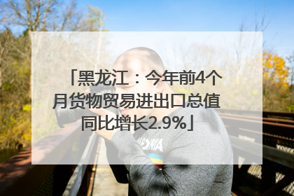 黑龙江：今年前4个月货物贸易进出口总值同比增长2.9%