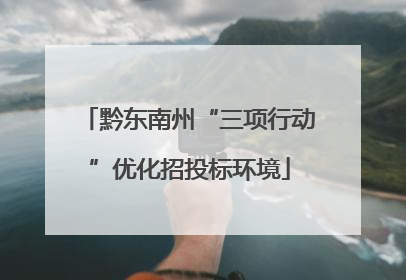 黔东南州“三项行动”优化招投标环境