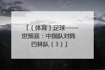 （体育）足球——世预赛：中国队对阵巴林队（3）