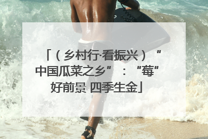 （乡村行·看振兴）“中国瓜菜之乡”：“莓”好前景 四季生金