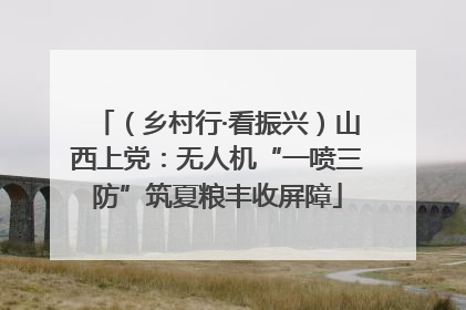 （乡村行·看振兴）山西上党：无人机“一喷三防”筑夏粮丰收屏障