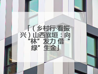 （乡村行·看振兴）山西襄垣：向“林”发力 借“绿”生金