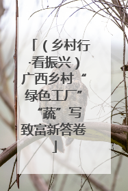 （乡村行·看振兴）广西乡村“绿色工厂” “蔬”写致富新答卷
