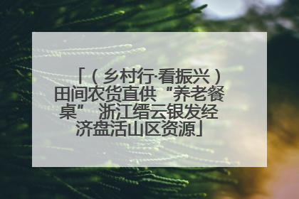 （乡村行·看振兴）田间农货直供“养老餐桌” 浙江缙云银发经济盘活山区资源