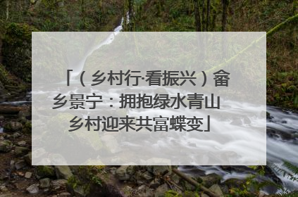 （乡村行·看振兴）畲乡景宁：拥抱绿水青山 乡村迎来共富蝶变