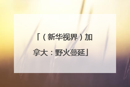 （新华视界）加拿大：野火蔓延