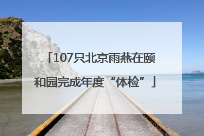 107只北京雨燕在颐和园完成年度“体检”