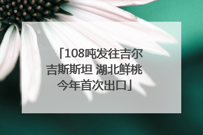 108吨发往吉尔吉斯斯坦 湖北鲜桃今年首次出口