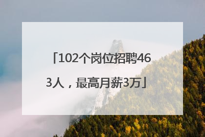 102个岗位招聘463人，最高月薪3万